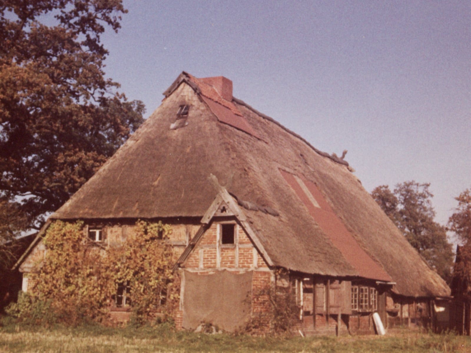Das reetgedeckte Hofgebäude in früheren Jahren